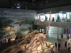 -自贡恐龙博物馆