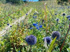 -白草畔自然风景区