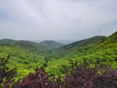 -东明山森林公园
