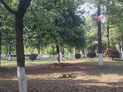 -江南大学(蠡湖校区)