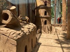 -石家庄市动物园