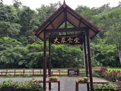 -野象谷景区