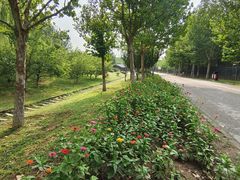 -永定河休闲森林公园