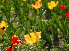 -长春公园(普阳街道)