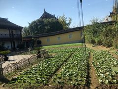 -重元寺香积厨素斋馆