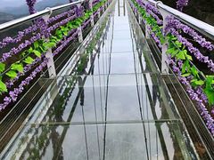 -燕子河大峡谷天坑仙境