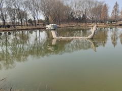 -兰陵国家农业公园