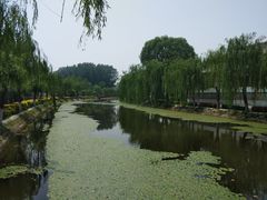 -白洋淀景区