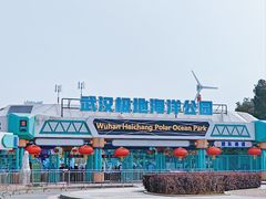 -海合安武汉极地海洋公园