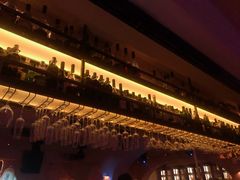 -CLUB VIVA(购物公园店)