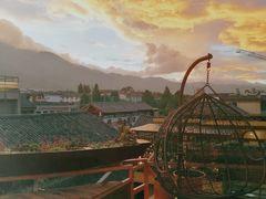 景观位-喵屿·大理花园猫咖