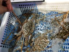 -盒马鲜生(观音桥店)