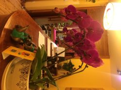 梵音瑜伽(旺座店)-FineYoga梵音瑜伽·普拉提