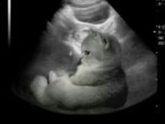 -星巴克臻选(南京金茂览秀城店)