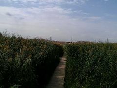 -水洞沟旅游区