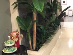 -东方大班·足道·采耳·疗愈SPA(丽都店)