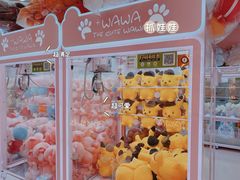 -+WAWA夹娃娃专门店·抓娃娃