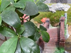 -天津海河悦榕庄·Lobby Lounge大堂吧