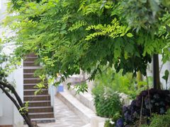 -柠檬花院烤肉·会议团建·聚会·求婚(三圣乡店)