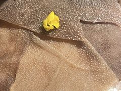 -牛村来人潮汕牛肉火锅(西单店)