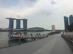 -新加坡瑞士史丹福酒店