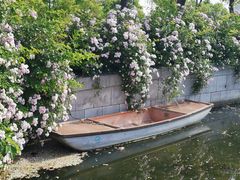-尚贤河湿地