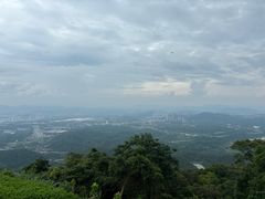 -黄埔油麻山森林公园