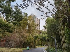 -苏州河梦清园环保主题公园