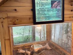 -上海大自然野生昆虫馆(东方明珠·爬宠昆虫探索中心)