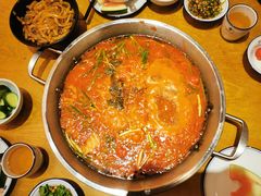 -新凯里酸汤鱼(飞山街店)