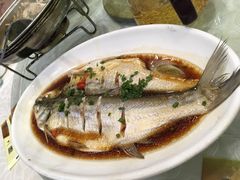 清蒸鲜白鱼-西新饭店(城中店)