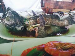 石斑鱼清蒸-四川小胡子海鲜(丁村万人海鲜广场店)