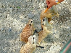 -水上乐园·欢乐世界