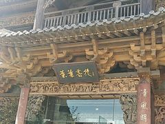 -叶叶菩提(旗舰店)