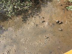 -北海金海湾红树林生态旅游区