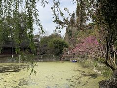 -桂湖森林公园
