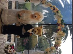 泰迪熊博物馆-济州岛泰迪熊博物馆