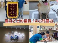 -康成宠物医院24H·CT·核磁共振