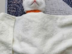 -苏浙汇(朝外店)