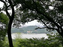 -上海佘山国家森林公园东门地面停车场