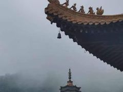 -深圳仙湖植物园