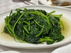 地瓜叶-光明邨大酒家(淮海路店)