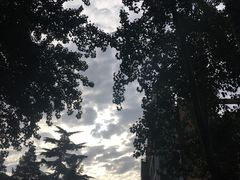 -北京外国语大学东院食堂