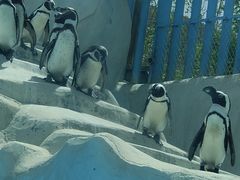 -新疆天山野生动物园