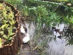 -映月湖公园