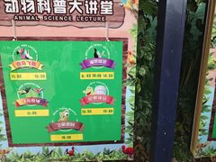 -广州长隆飞鸟乐园