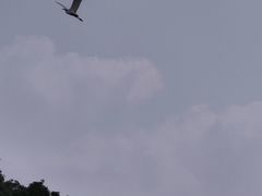 -菊园百果园