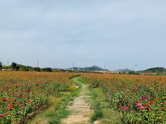 -西海岸生态观光园