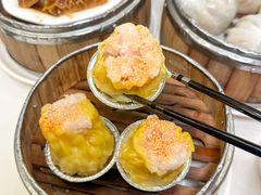 -凤凰楼酒家·粤宴点心(华强北店)