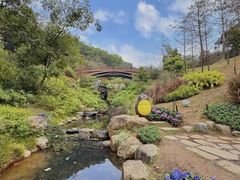 -云溪植物园